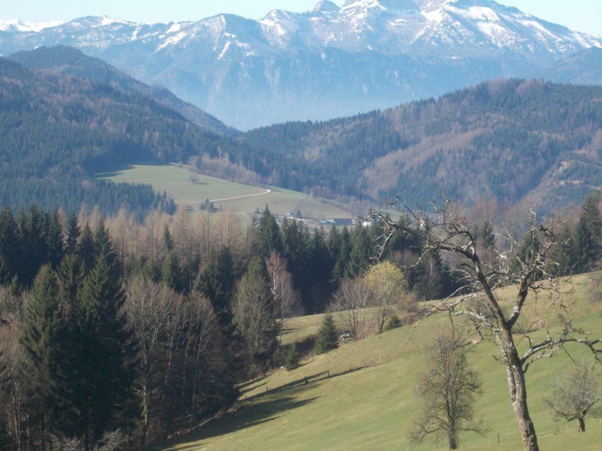 Bauernhof Moadl Weyregg Exterior foto